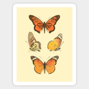 Orange Butterflies Vintage Illustration 70s Style Sticker